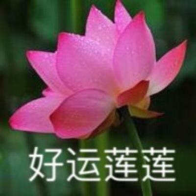 流浪仙界破解版下载